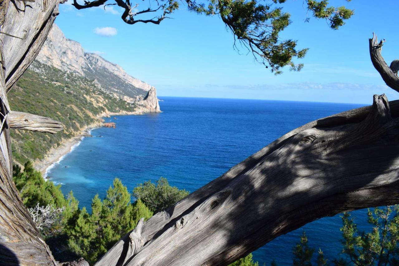 Sa Dommu De Doloretta Baunei Exterior foto