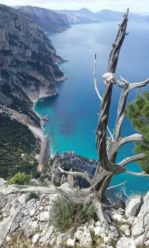 Sa Dommu De Doloretta Baunei Exterior foto