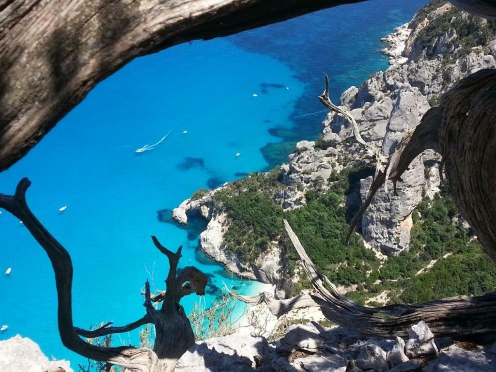 Sa Dommu De Doloretta Baunei Exterior foto